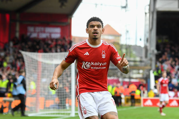 阿诺德的落 阿诺德的落