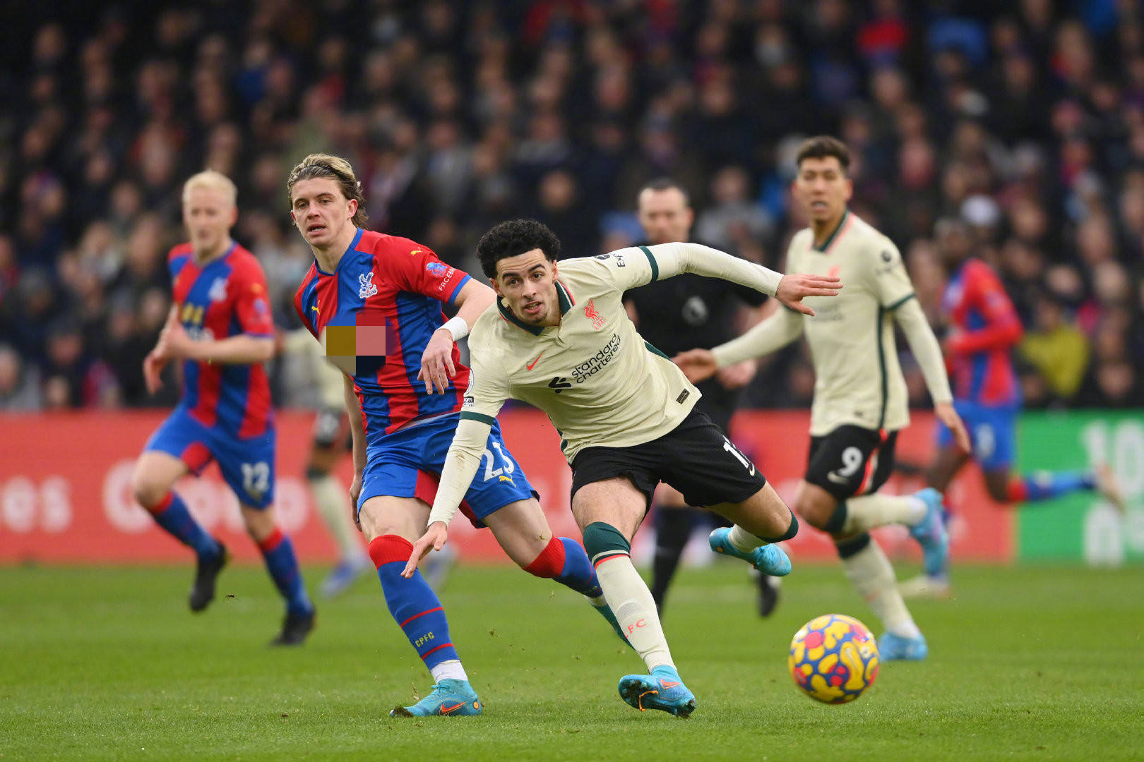 仅对日本有 仅对日本有